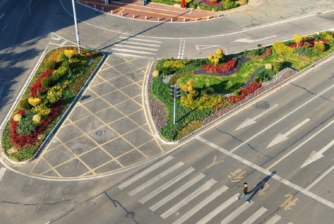 合肥高新區：街角交通島煥新 邂逅「花漾」出行時光