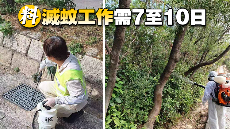 基孔肯雅熱 | 歐家榮：相信青衣自然徑源頭仍未消除