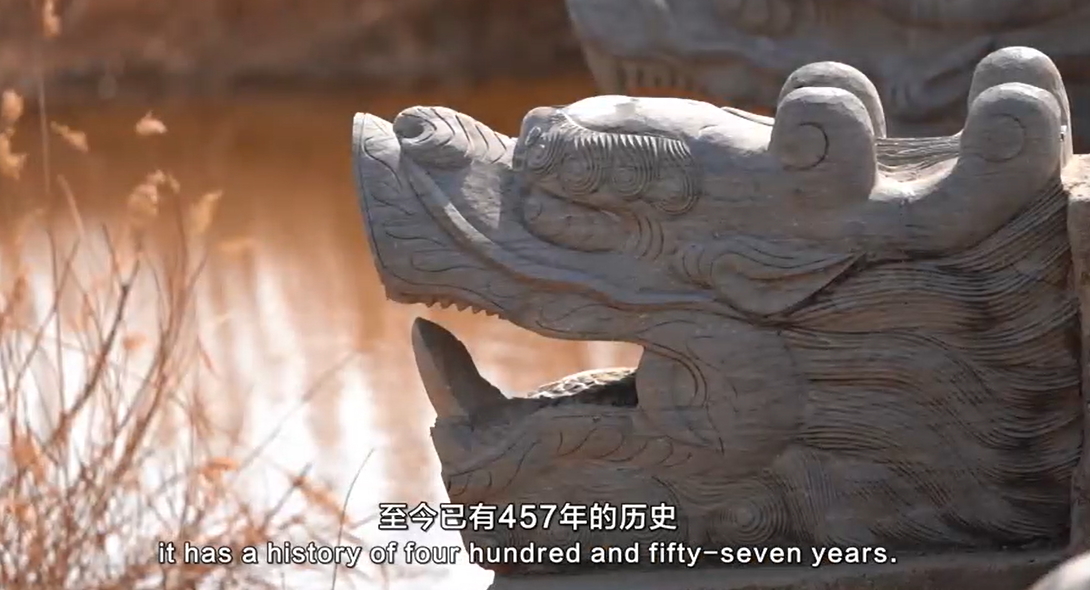 【視聽山東】瞧瞧「橋堅強」