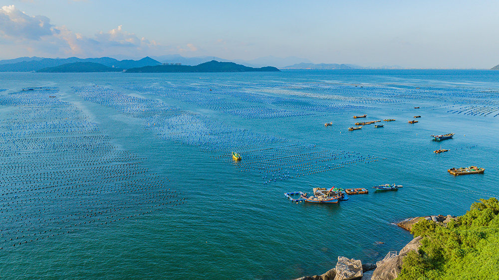 汕尾：築牢「藍色糧倉」唱響「海洋牧歌」 全力構建現代化海洋牧場千億級產業鏈