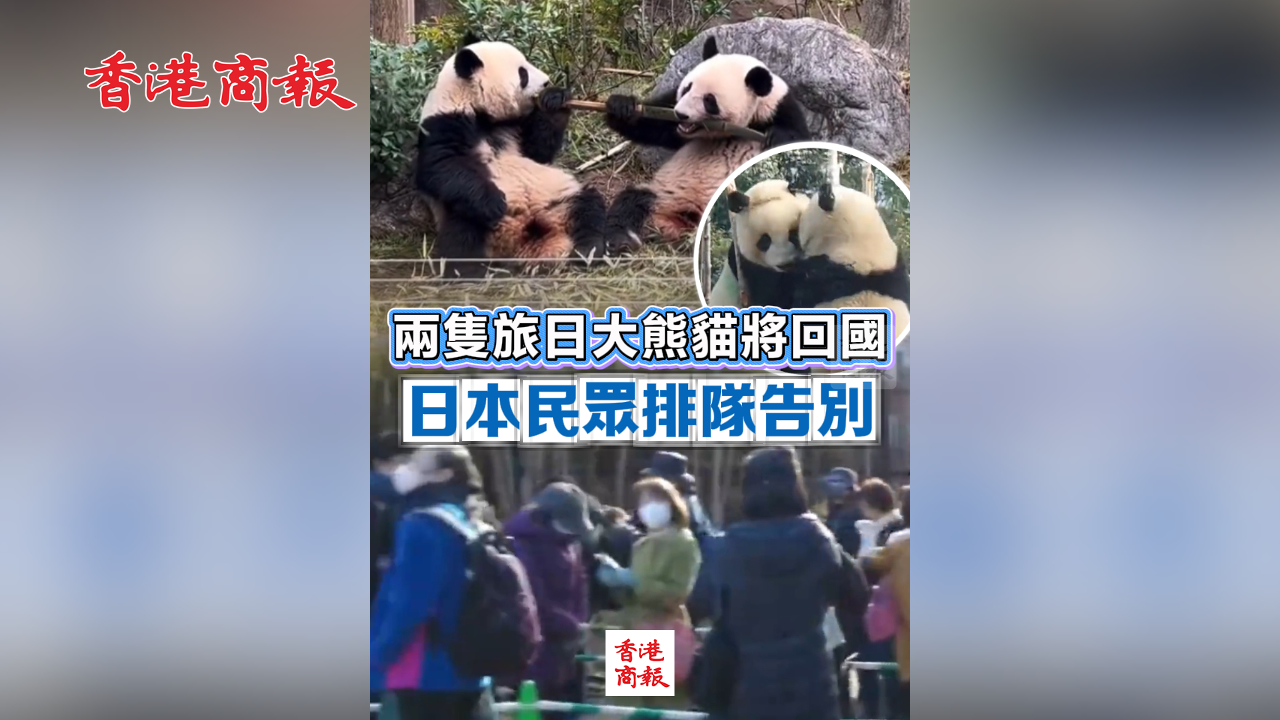 有片丨兩隻旅日大熊貓將回國 日本民眾排隊告別