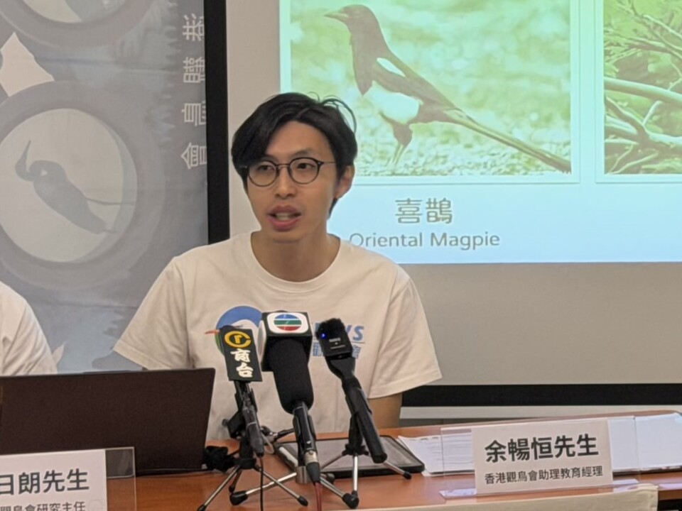 十年雀麻普查：逾二千人次參與　成功建立麻雀數目基線