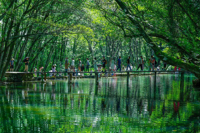 皖徽州區：西溪南重磅亮相央視《山水間的家》發布會