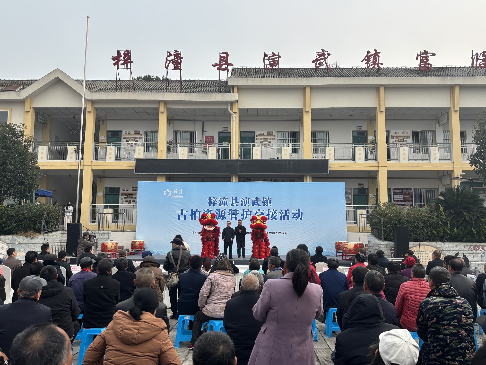 四川梓潼「交樹交印」制度 持續守護翠雲廊萬株古柏
