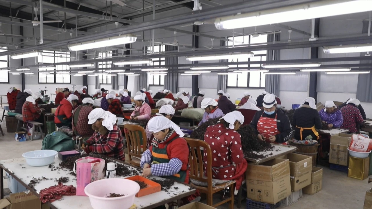 皖黟縣：共富路上產業興