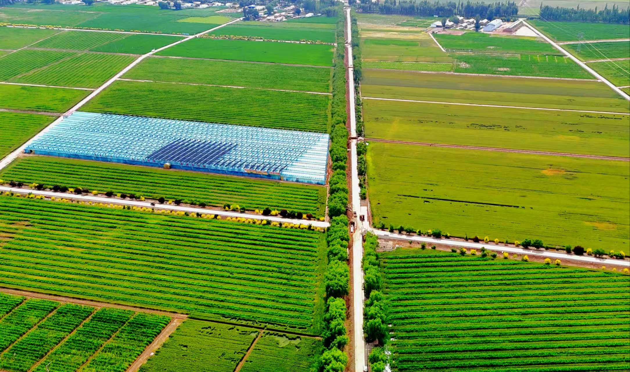 在漢央企承建五原鹽鹼地綜合利用項目順利完工