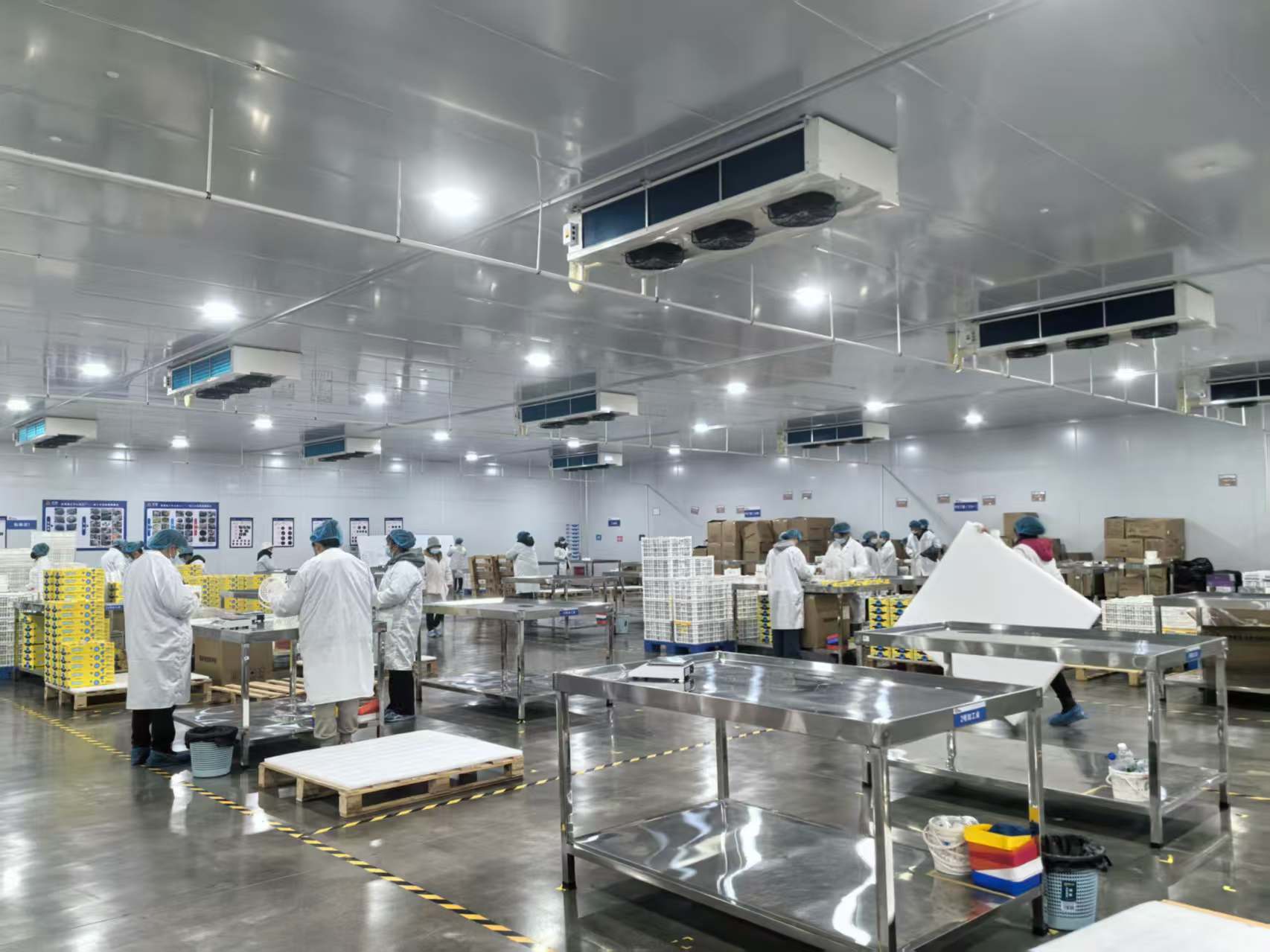 雲南硯山：一顆藍莓果的「三原色」密碼