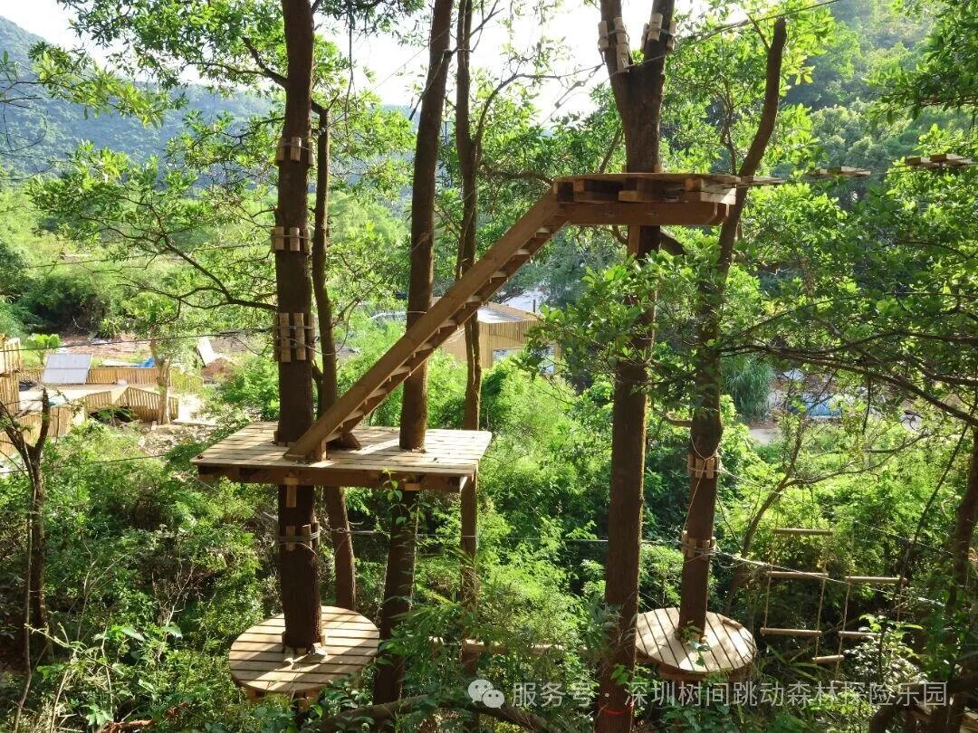 龍崗園山新增森林探險地標 打卡歐盟認證生態盛宴