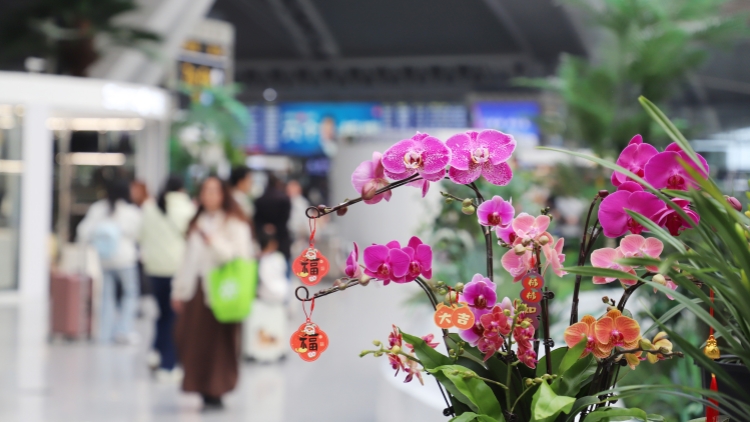廣東元旦文旅迎開門紅：既是熱門客源地，也是熱門目的地