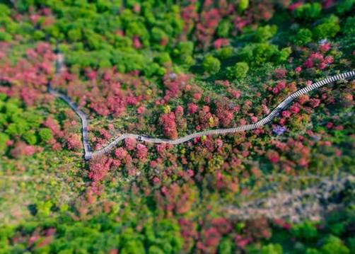 54501308eaabfac1b8281d459a6253a1