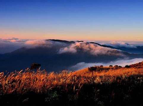 79dabab01f8e5d55b27d62930f060fa9