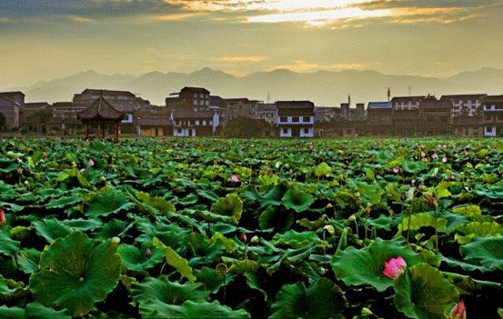 微信截图_20170925163853