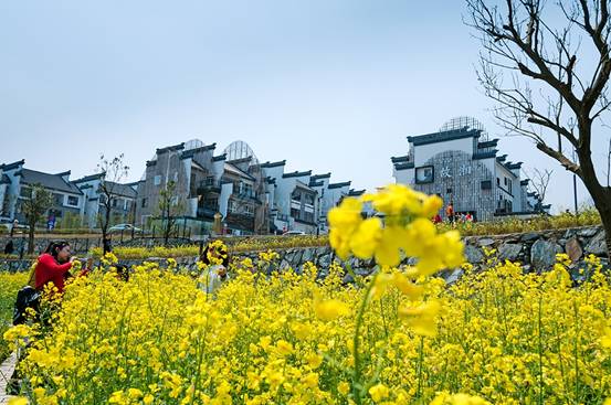 u=936394877,2609202941&fm=214&gp=0