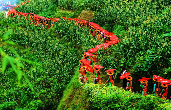 U10118P1192DT20141205174606