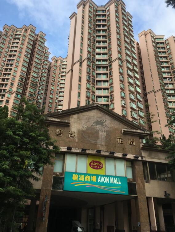 兩房兩廳單位業主叫560萬元碧湖花園市價下限放 香港商報